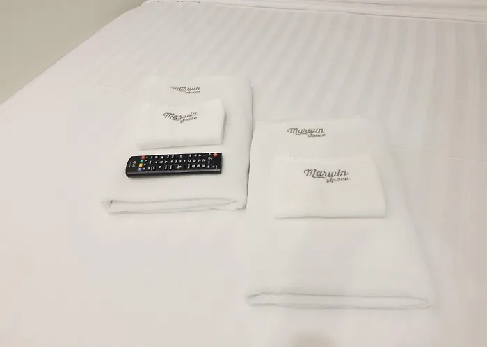 호텔 마르윈 스페이스 3*